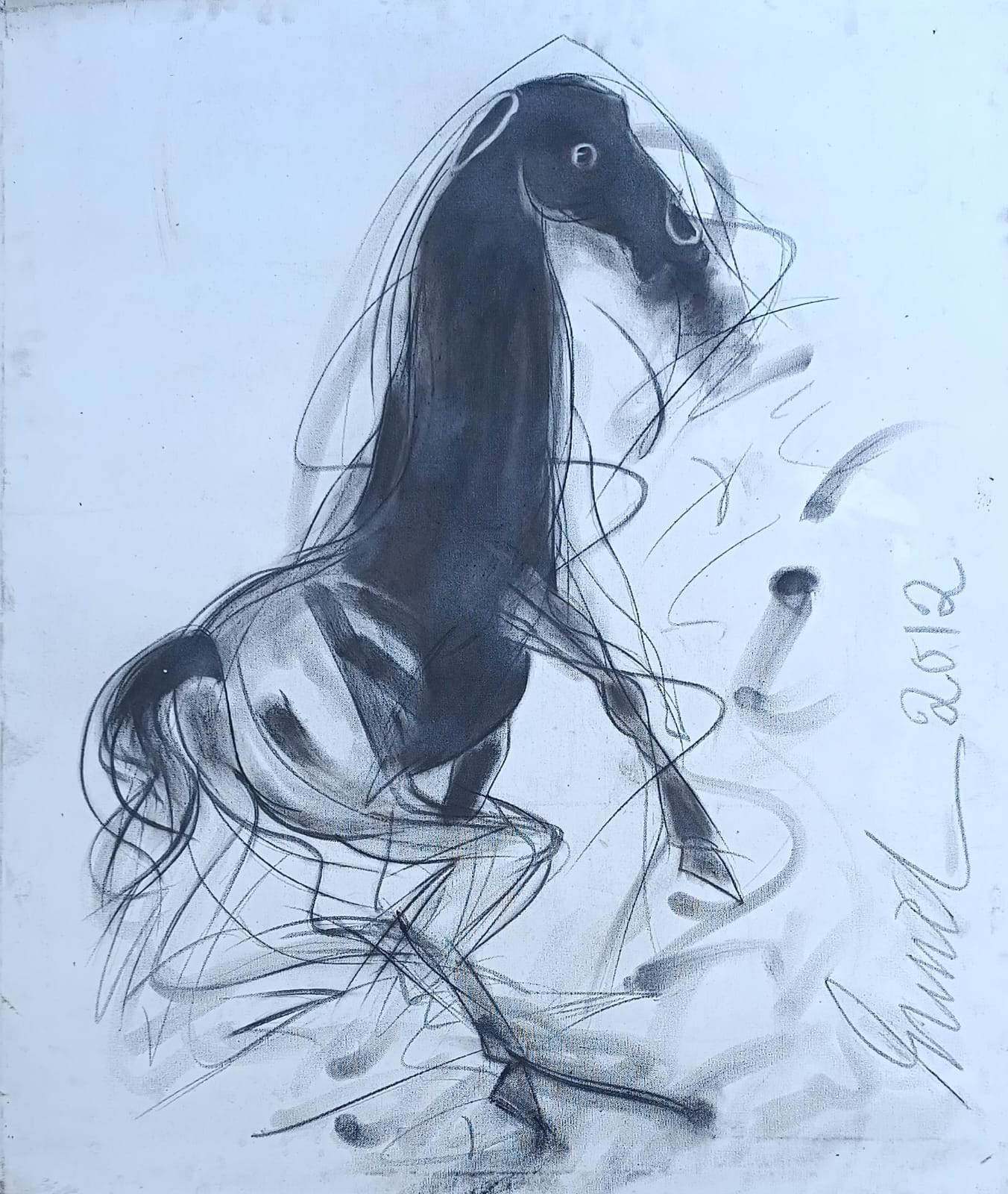 Horse Series - 01