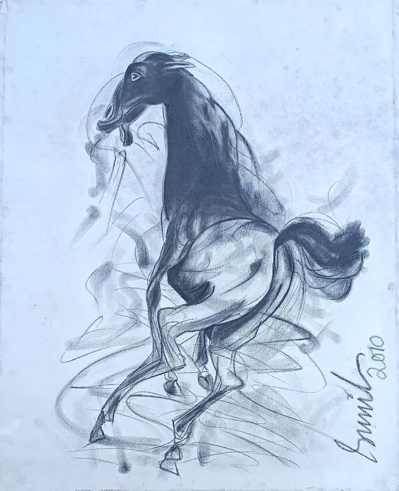 Sunil Das charcoal drawing of a rearing horse in expressive black and white composition